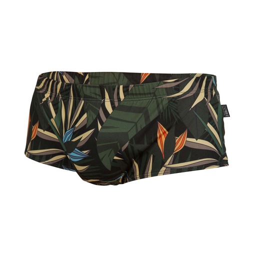 TRUNKS TROPICAL